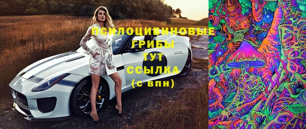 героин Михайлов